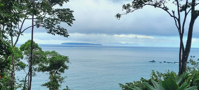 Snorkeling Tour to Caño Island